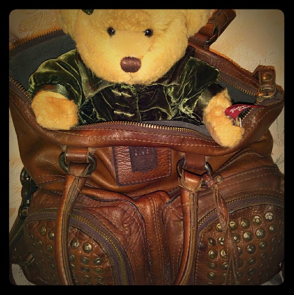 Frye bag